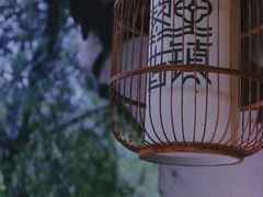 -黎里古镇