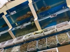-胶东海鲜大排档(北太平庄店)