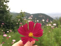 -定都峰