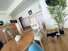 -柴犬小屋·柴餐厅·狗咖食堂(金鼎广场店)