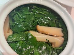 松茸炖西洋菜-苏浙总会(国金中心店)