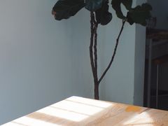 -怪 kafe.