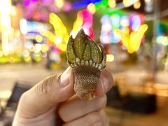 -HIHE Bistro·Oyster Bar(华熙live店)