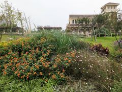 -府河摄影公园