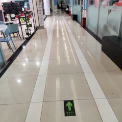 -单色舞蹈