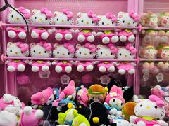 -安吉Hello Kitty乐园
