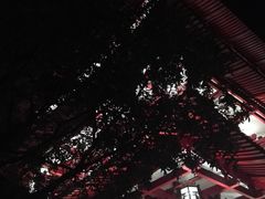 -柳湖沙月沙滩公园