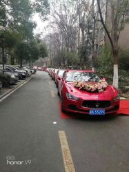 -蚂蚁婚车