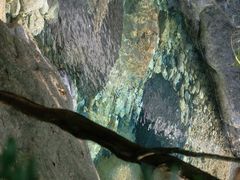 -黄山翡翠谷景区