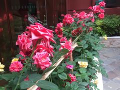 -宝大祥青少年儿童购物中心(南京东路店)