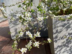 -艾溪湖湿地公园