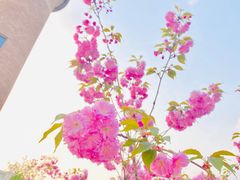 -小意思咖啡店(草桥店)