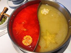 -濠七糟粕醋•海南酸汤火锅(中关村店)