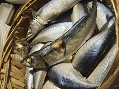 -车头老二大排档(金城步行街店)