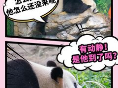 -广州长隆野生动物世界