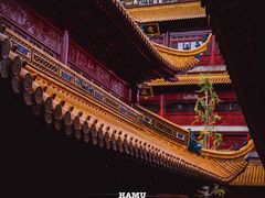 -钦赐仰殿道观