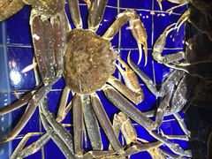 -79号渔船海鲜饭店(华强北店)