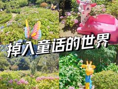 -上海共青森林公园