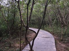 -盘龙城国家考古遗址公园