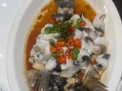 -有心德(麦地店)