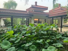 -舜耕山庄四时万和自助餐厅