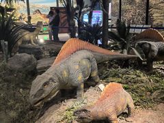 -湖南省地质博物馆