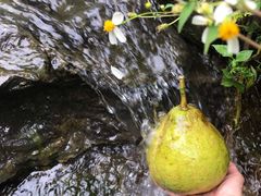 -三门江国家森林公园