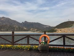 -天鹅湖生态旅游风景区