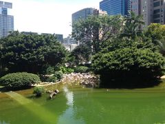 -九龙公园