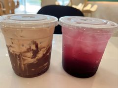 -飞行喵MR PILOT|猫舍·猫咖(静安大融城店)