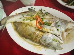 -蛇口康乐快餐鱼仔档(翠苑小区店)