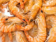-北塘海鲜·天津菜(大光明桥旗舰店)