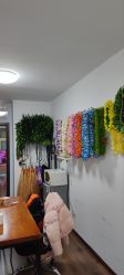 -呼拉汇舞蹈生活馆 Hawaii Hula&Tahiti Dance Studio