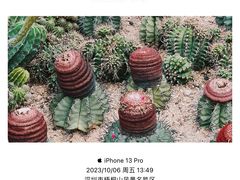 -深圳市中科院仙湖植物园