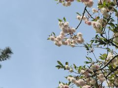 -法门文化景区-合十舍利塔