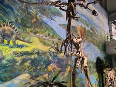 -自贡恐龙博物馆