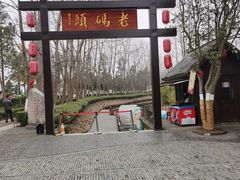 -合肥滨湖国家森林公园