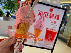 -野人牧坊Gelato(天津南开大悦城店)
