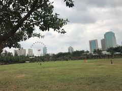 -万绿园