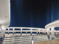 -演武大桥观景平台