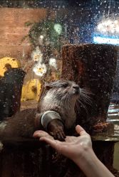 -Zoolung Zoolung动物主题公园(海信广场店)