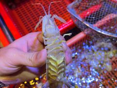 -巽寮印象美食部落餐厅·海鲜·地方特色菜(惠州体验店)