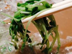 -大红袍火锅料理(尖沙咀店)