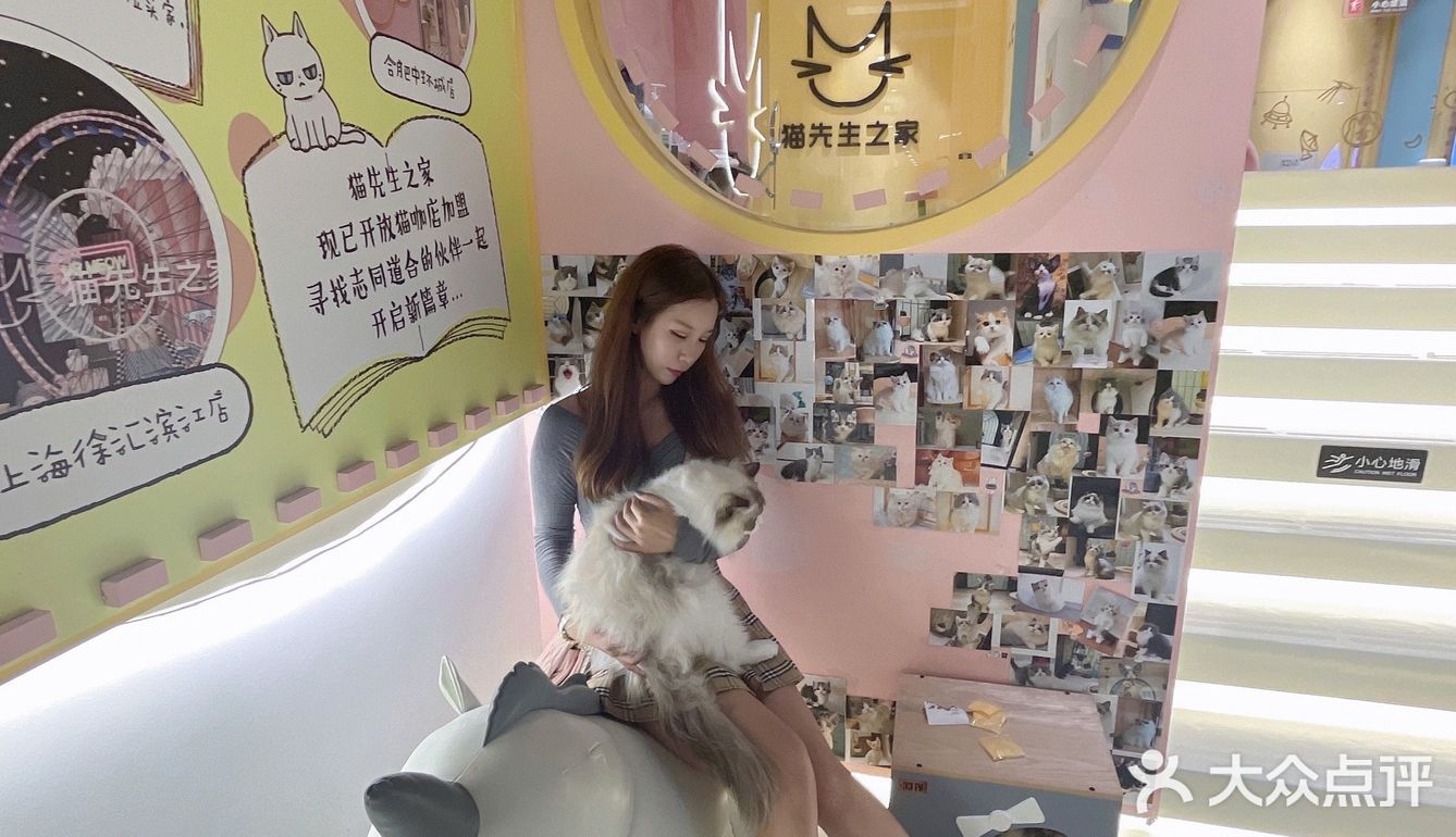 探店丨猫先生之家·猫舍