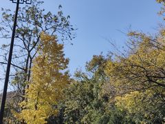 -宝界山林公园