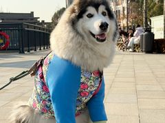 -比斯特上海购物村精品奥特莱斯