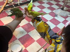 -上海昆虫博物馆