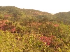 -木兰云雾山