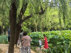 -洛阳市隋唐城遗址植物园