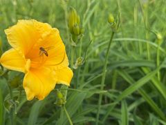 -春花秋色城市公园